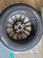 IMG_2040.jpeg