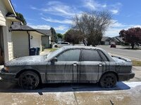 IMG_8586.jpeg