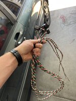 IMG_8611.jpeg