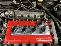 IMG_8619.jpeg