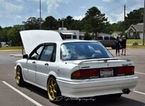 IMG_2880.jpeg