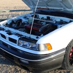 IMG_4070 1.JPG