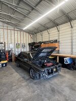 IMG_7374.jpeg