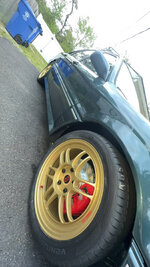 IMG_8646.jpeg