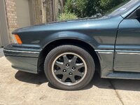 IMG_1051.jpeg