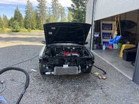 IMG_4464.jpeg
