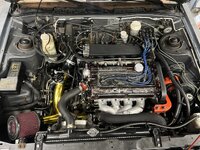 IMG_9684.jpeg