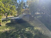 IMG_2592.jpg