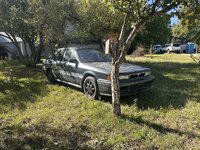 IMG_2595.jpg