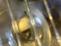 IMG_2639.jpeg