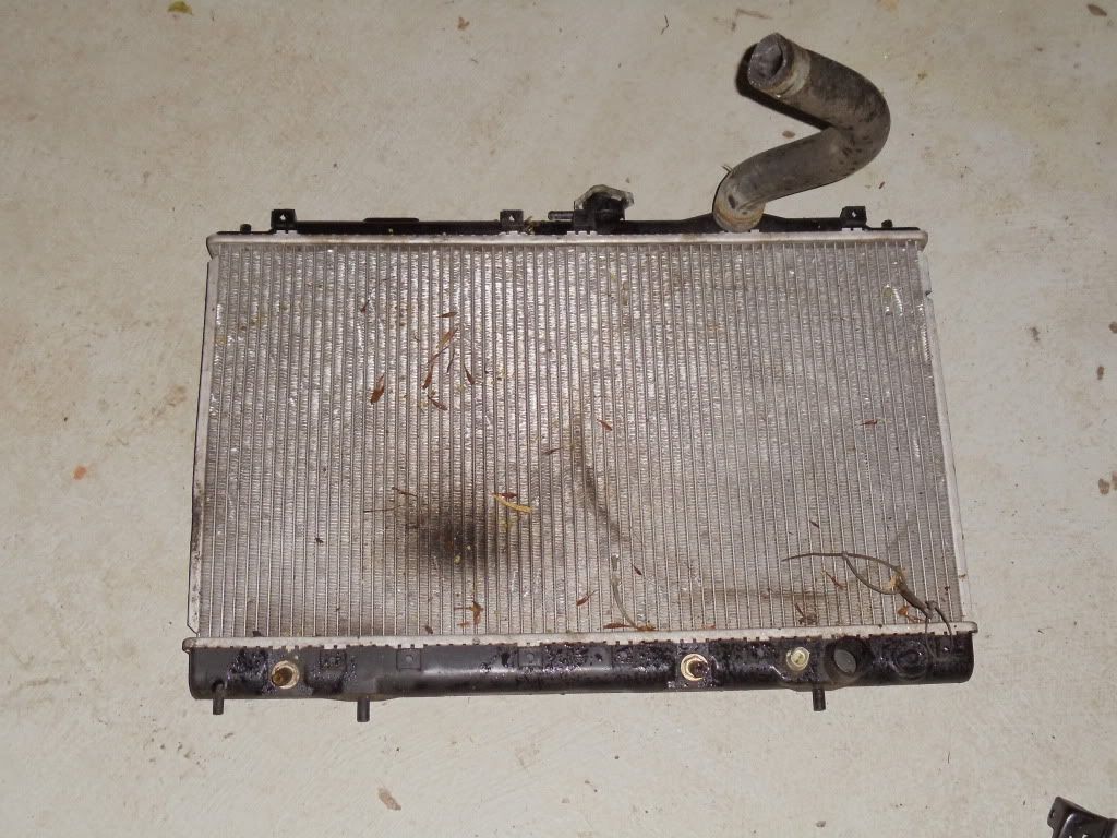 DSC00212-1.jpg