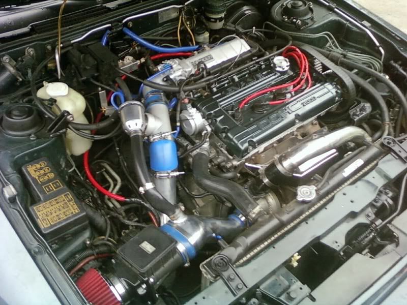 img1241622573259.jpg