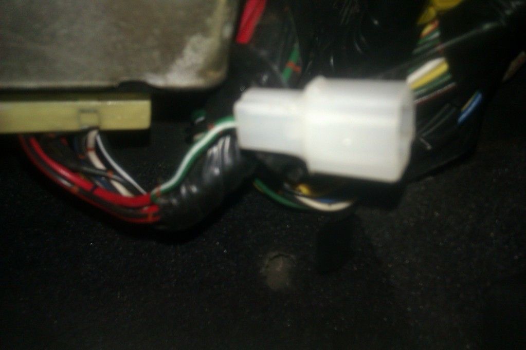 IMAG0730.jpg