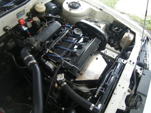 DSCF7006.jpg