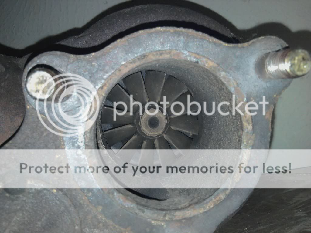 mms_picture-6.jpg