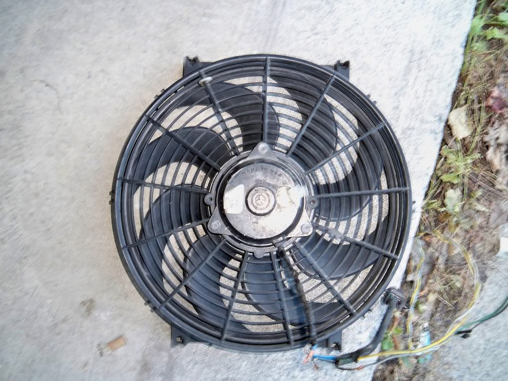 Picture399.jpg