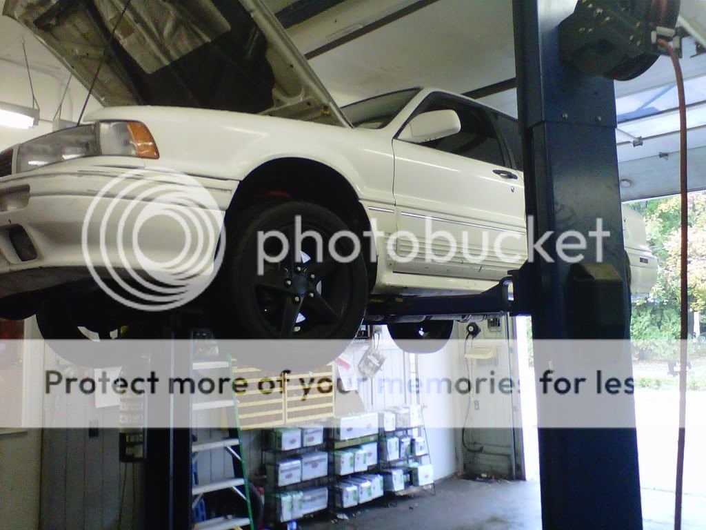 IMG00188-20101027-1314.jpg
