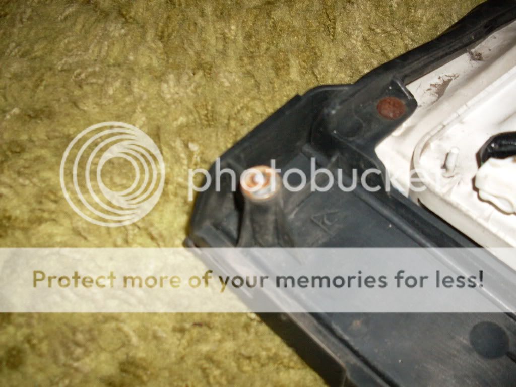 SDC11838.jpg