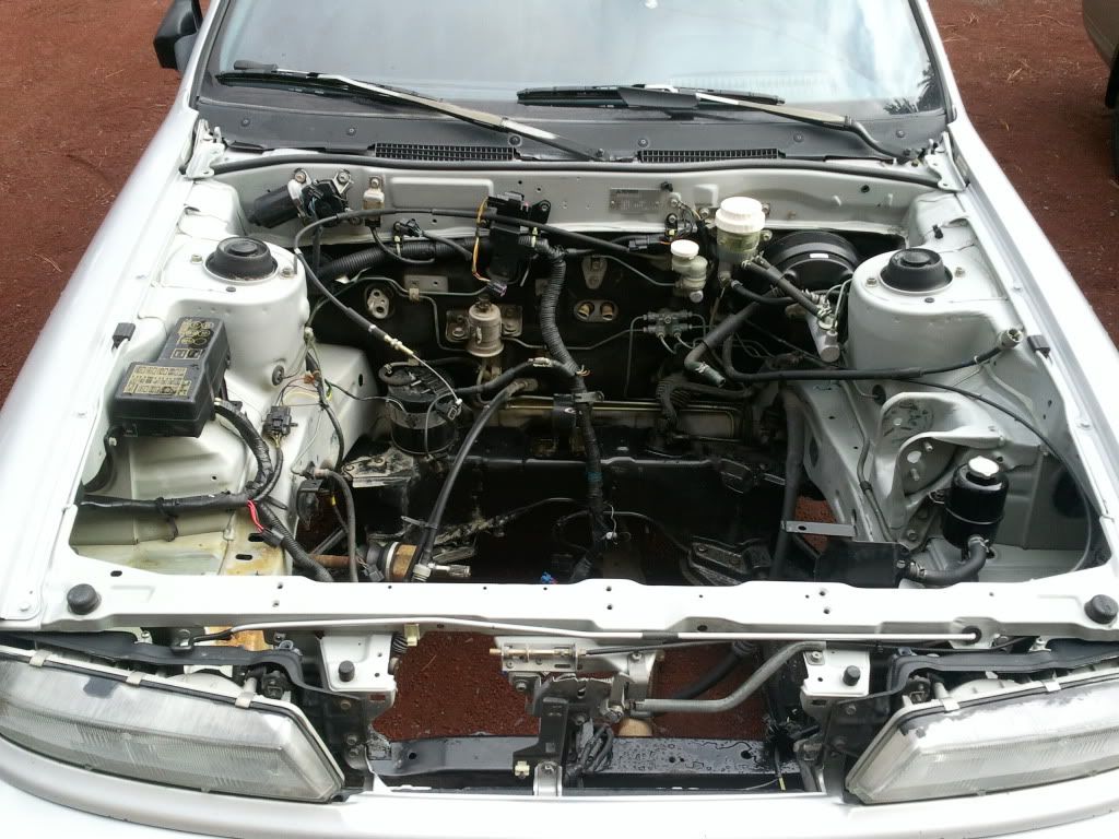 2011-04-15175217.jpg