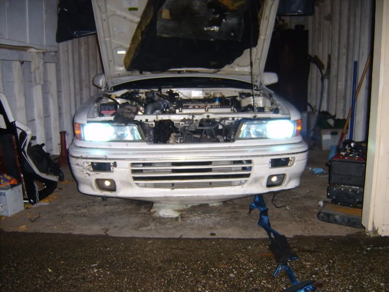 S5300116.jpg