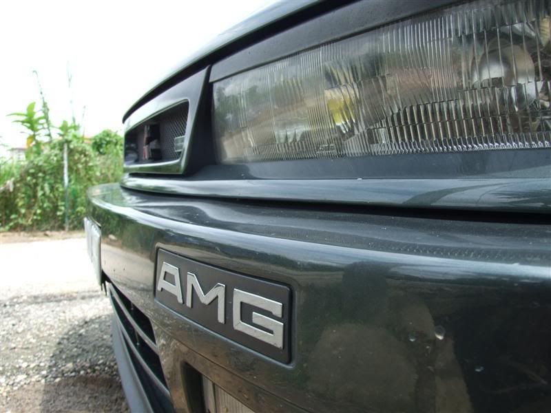 2006_12090021Medium.jpg