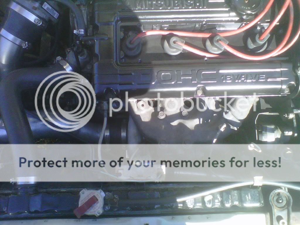IMG00232-20101103-1255.jpg
