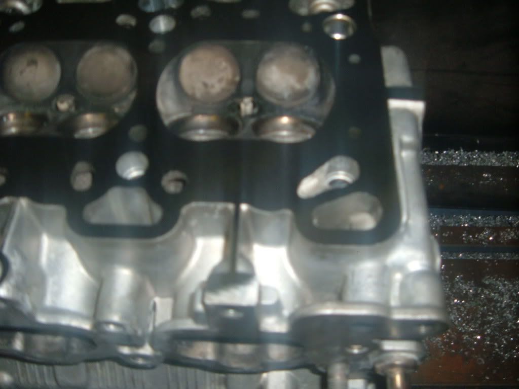 DSCF4372.jpg