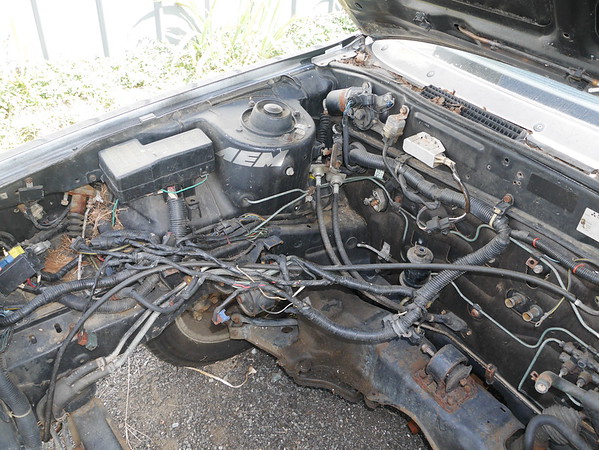P1160827-M.jpg