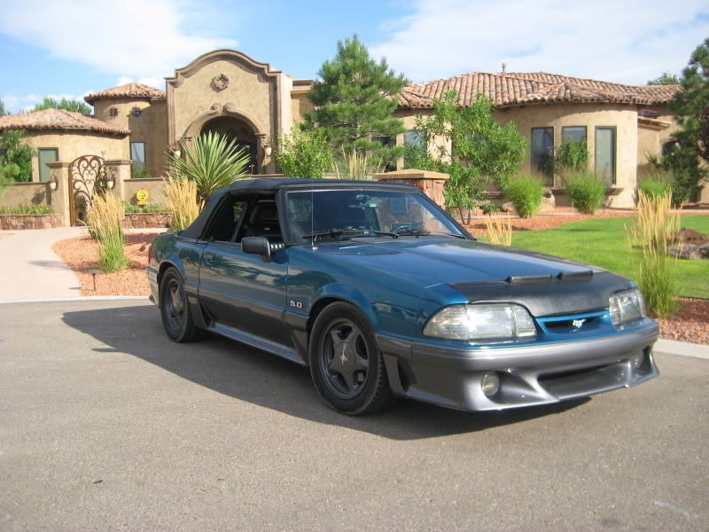 car034.jpg
