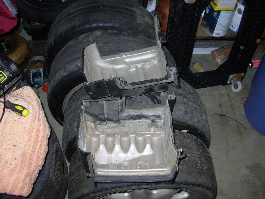 DSCN3167.jpg
