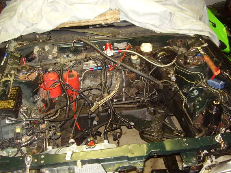 PB200164.jpg