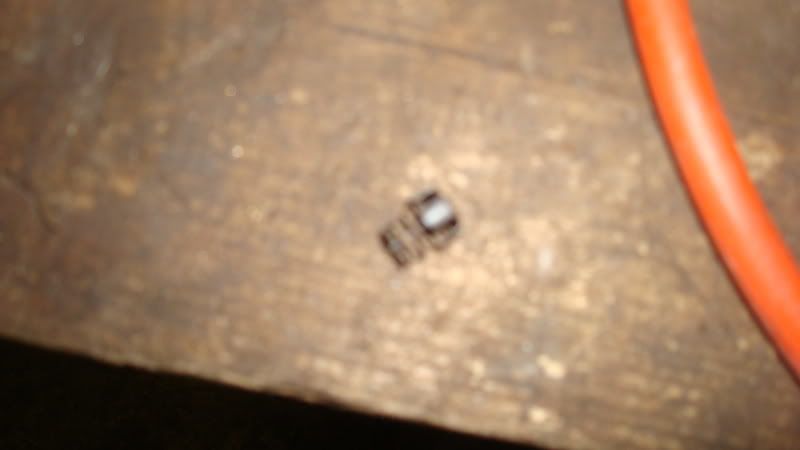 DSC06817.jpg