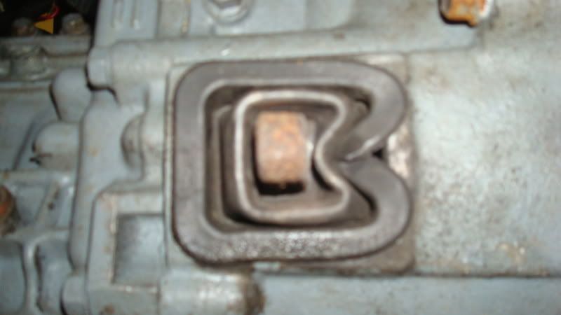 DSC06804.jpg