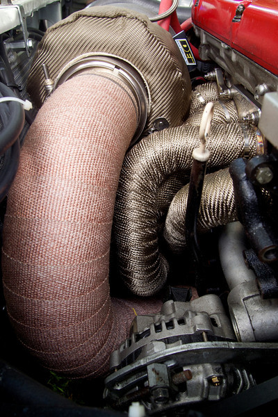 P5311587-L.jpg