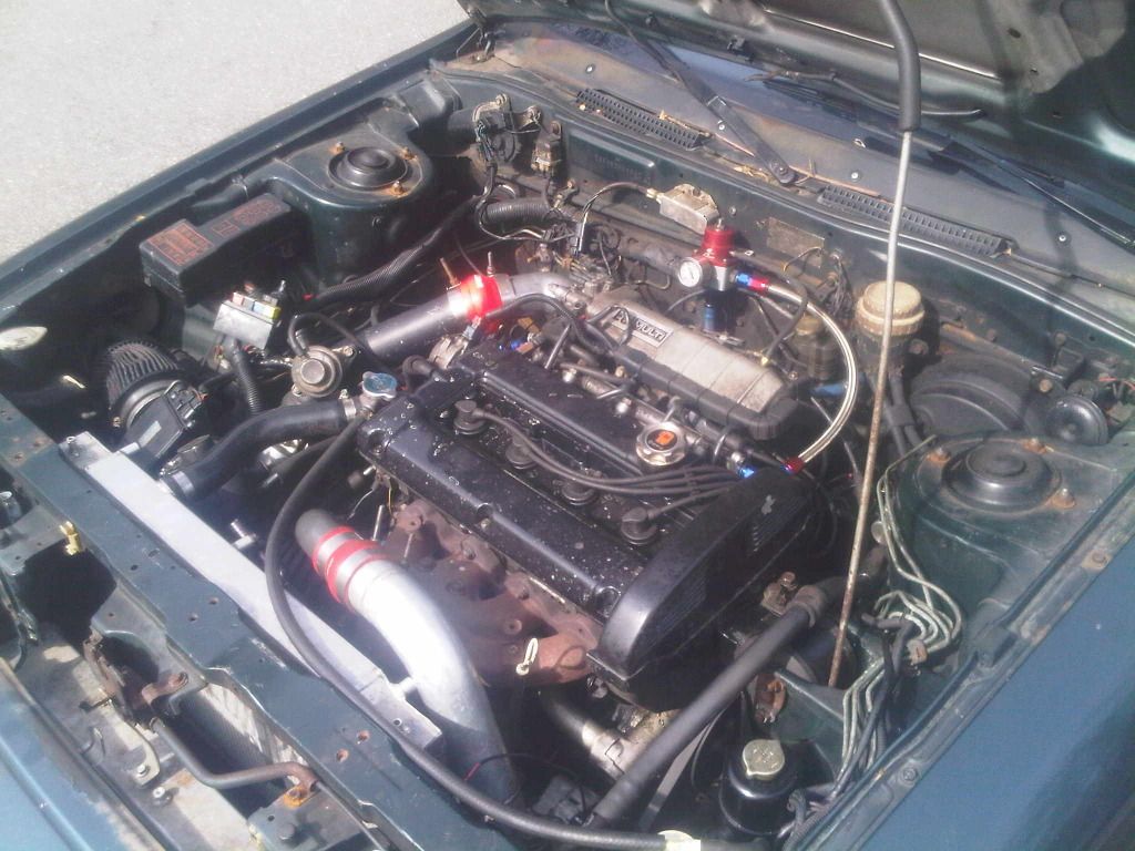 IMG01017-20130317-1447_zps3b056beb.jpg