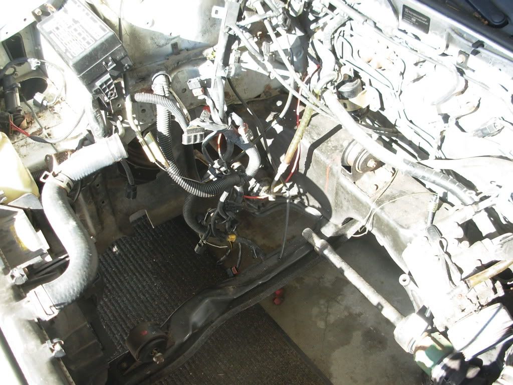 DSCN3343.jpg