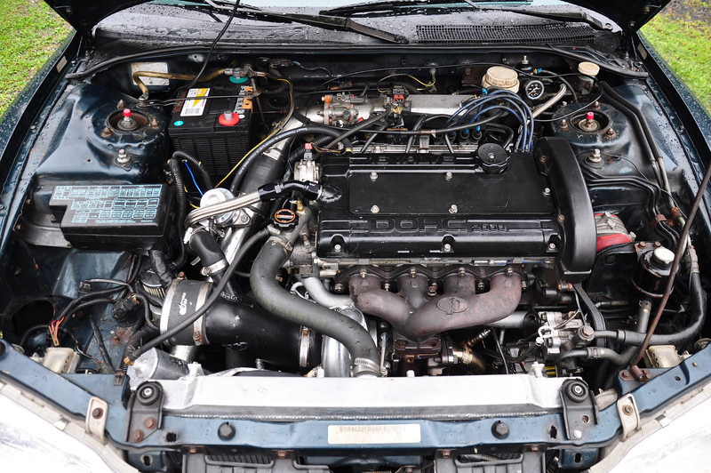 DSC0944-L.jpg