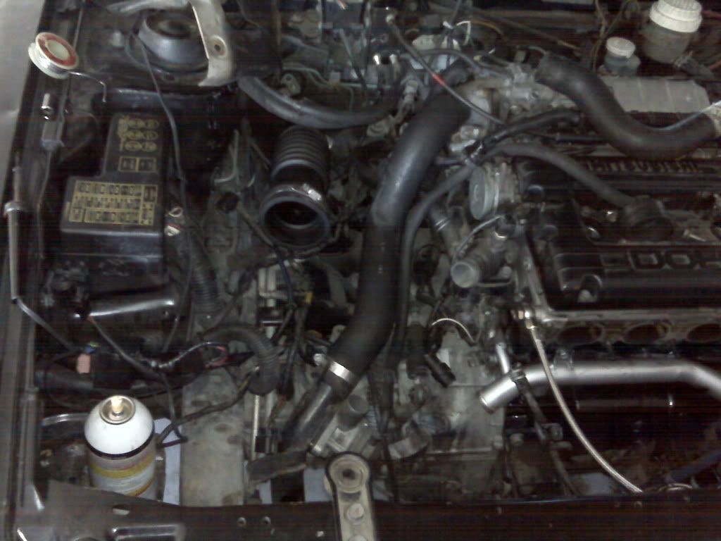 IMG00533-20100801-1700-1.jpg