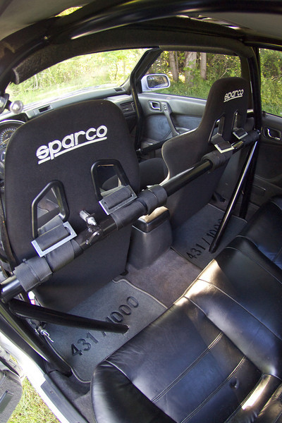 P5311659-L.jpg