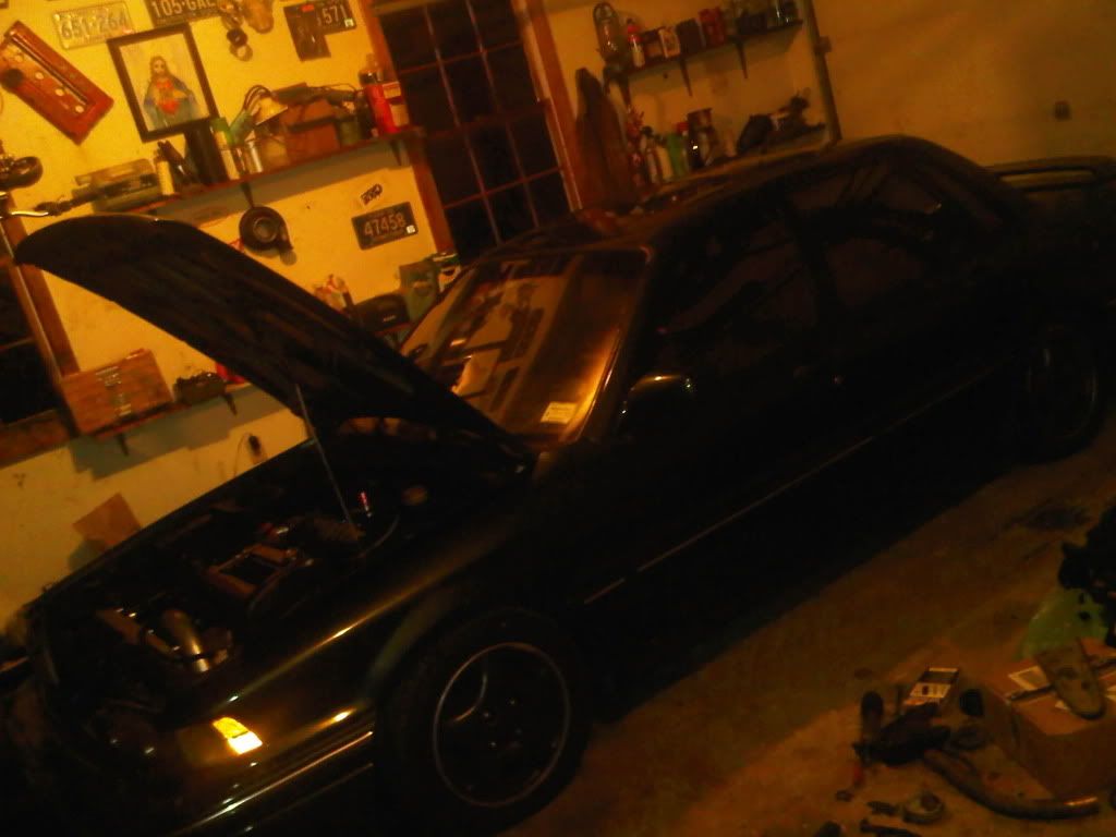 IMG01005-20130316-0006_zps4bef08da.jpg