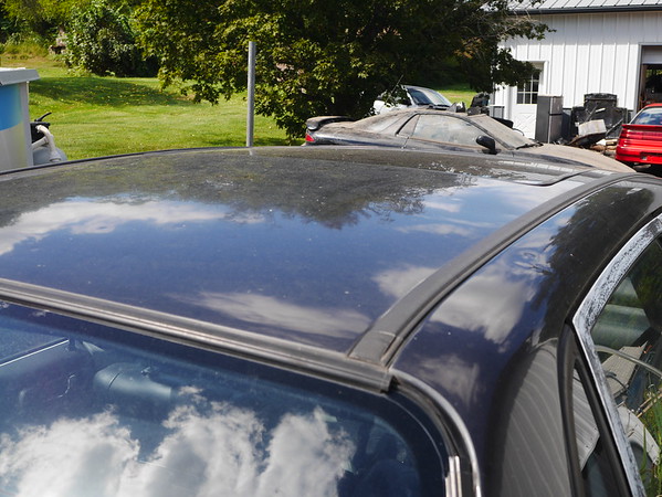 P1160835-M.jpg