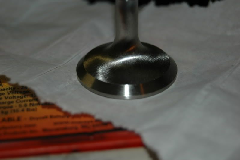 DSC_3840.jpg