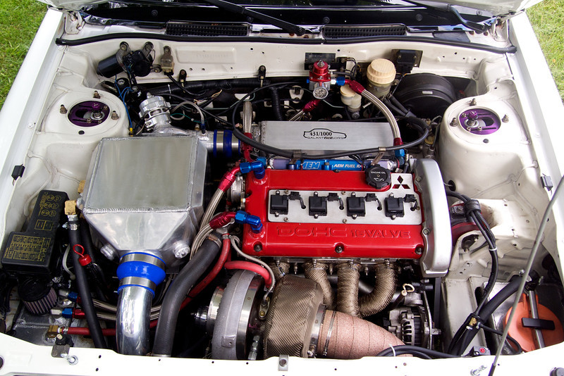 P5311574-L.jpg