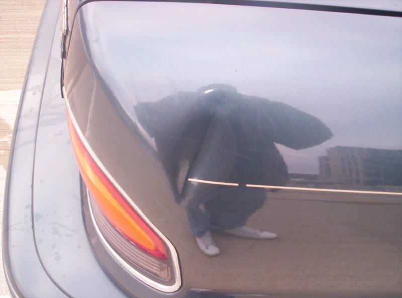 Galant013.jpg