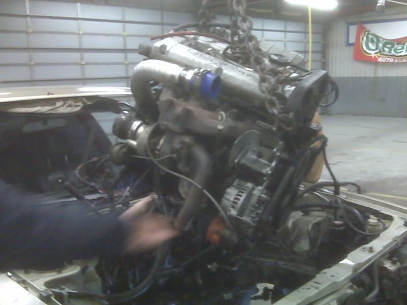 IMG01212.jpg