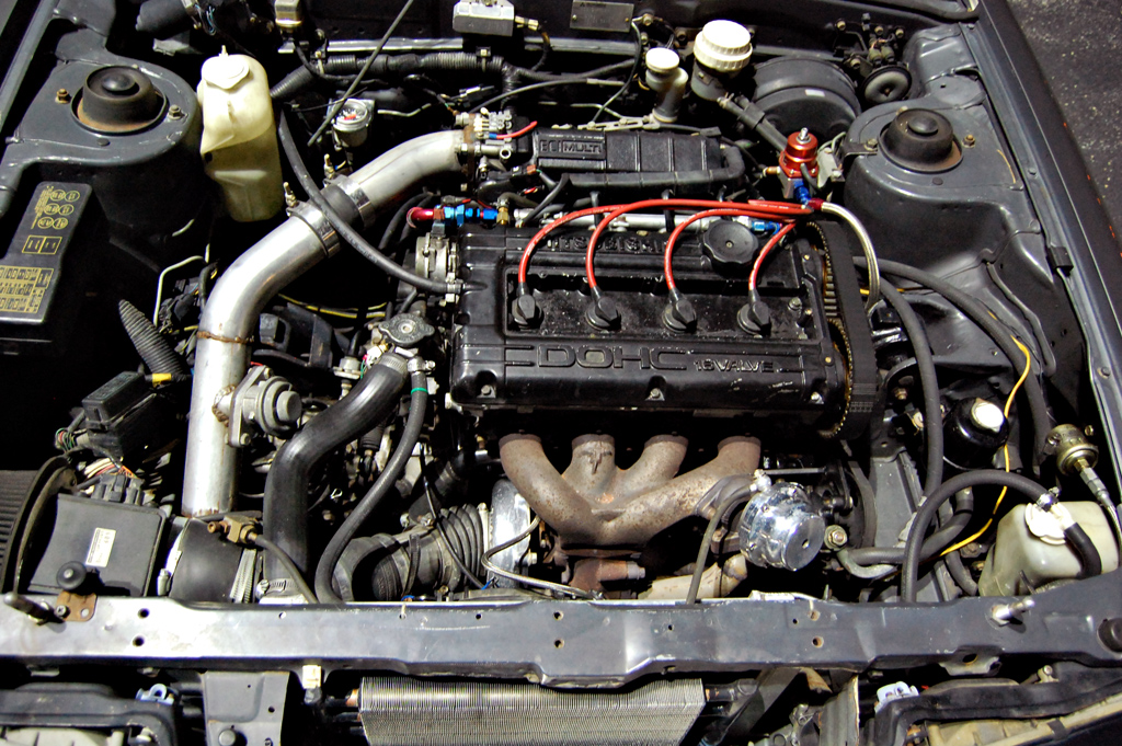 dsc_0187_copy3.jpg