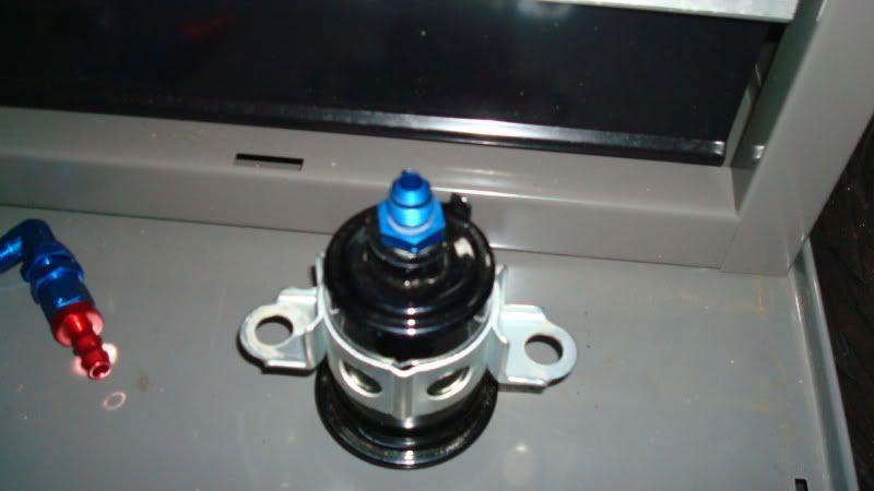 DSC07017.jpg
