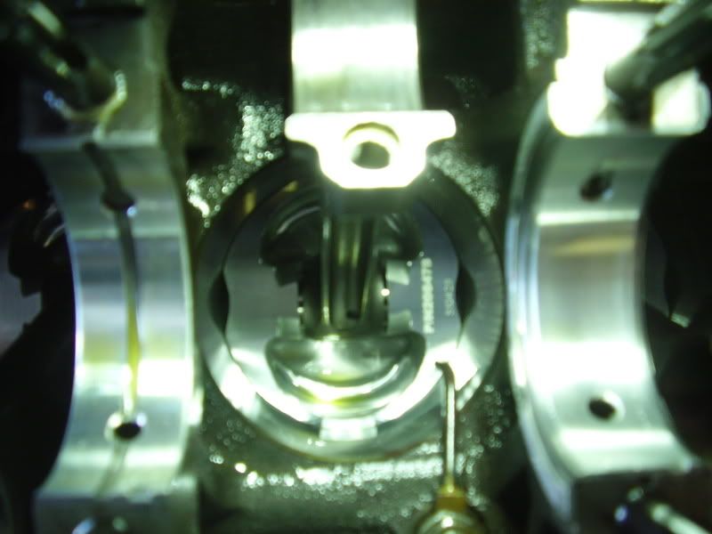 PB240179.jpg