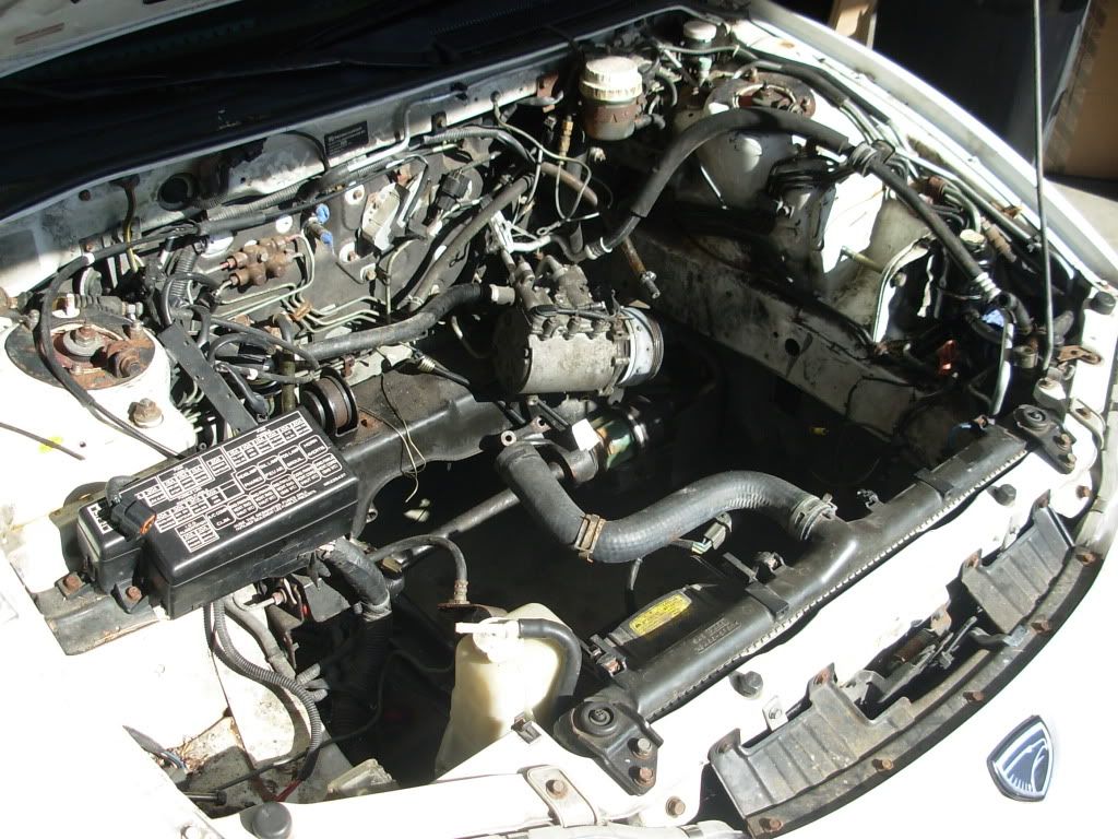 DSCN3341.jpg