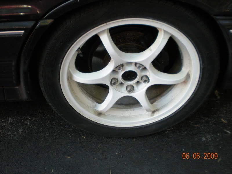 Picture010.jpg